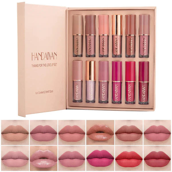 HANDAIYAN 12Pcs Velvet Matte Liquid Lipstick Set